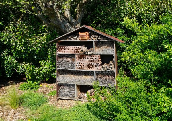 Chcesz mieć więcej owoców? Postaw na ten jeden prosty trik - domek dla owadow