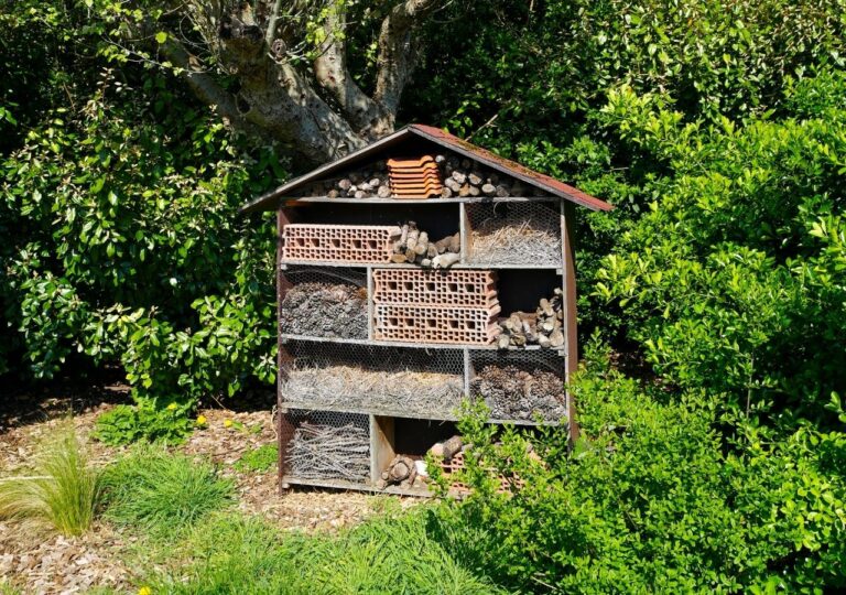 Chcesz mieć więcej owoców? Postaw na ten jeden prosty trik - domek dla owadow
